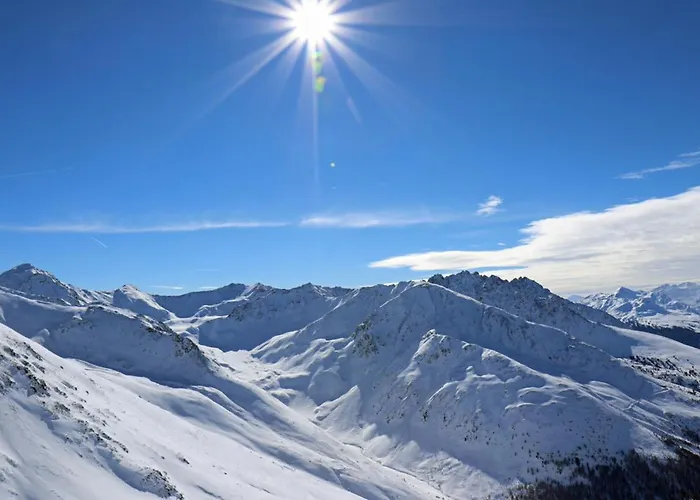 Muggla 公寓 普鲁茨