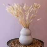 Muggla شقة
